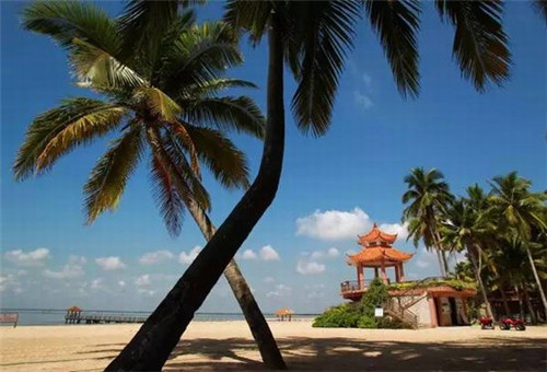 晋城市的奶茶加盟店有哪些，独造烧仙草在晋城市奶茶市场上的发展如何