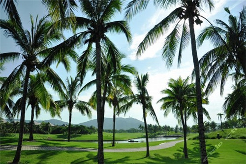 云浮市的干洗店品牌哪个靠谱，在云浮市加盟思特莱斯干洗店什么位置生意好