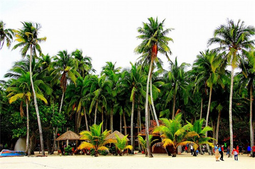 乐昌有什么网红景点（乐昌有什么网红景点吗）