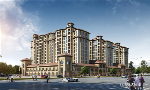 蒜苔炒豆腐皮的做法（豆腐皮炒蒜台）